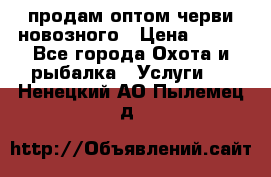 продам оптом черви новозного › Цена ­ 600 - Все города Охота и рыбалка » Услуги   . Ненецкий АО,Пылемец д.